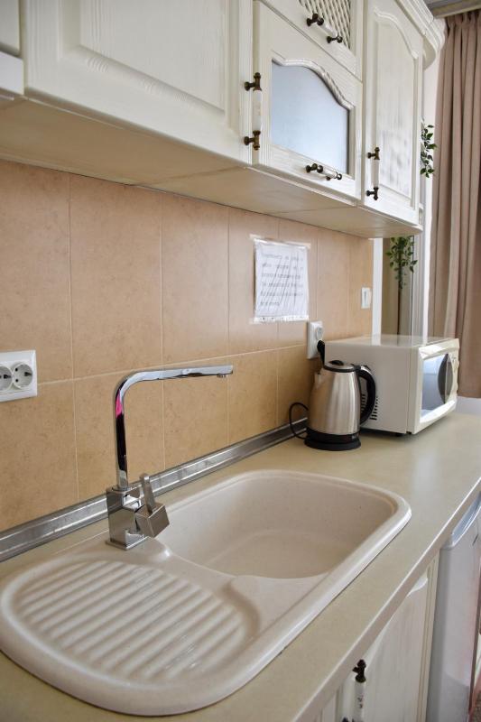 One-Bedroom Apartment with Terrace image 2