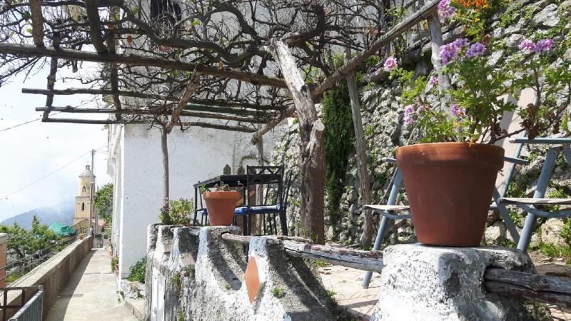 Casa Barbara - image 13