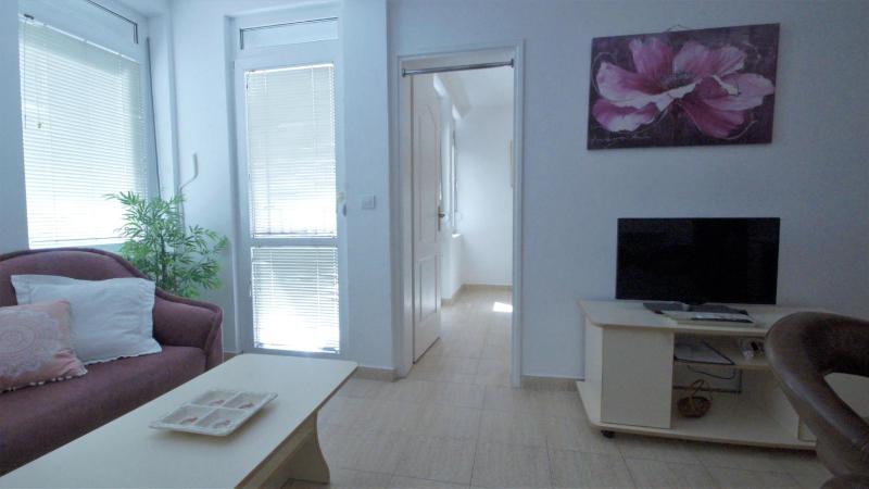 Apartment with Terrace image 4