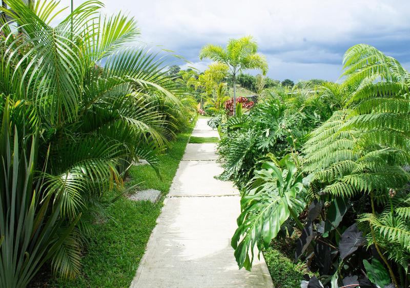 Panorama Pueblo Tapao - image 18