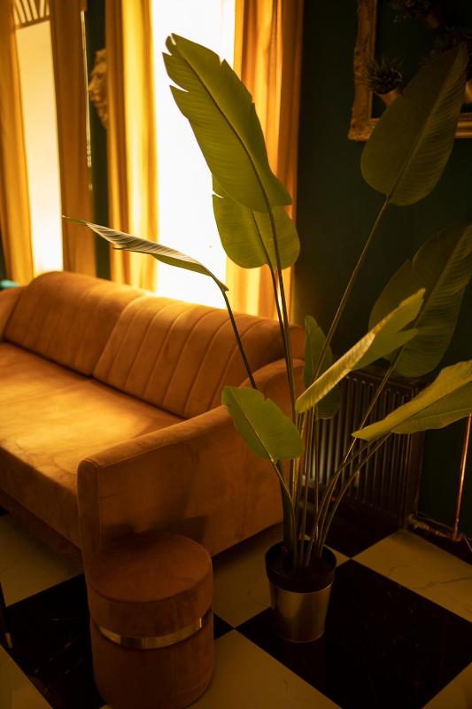 Jungle Apartments - image 3