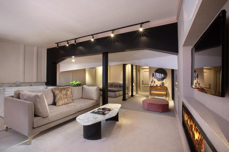 Penthouse Suite with Jaccuzi ~ Fireplace image 4