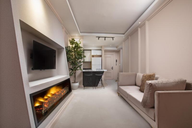 One-Bedroom Apartment image 4