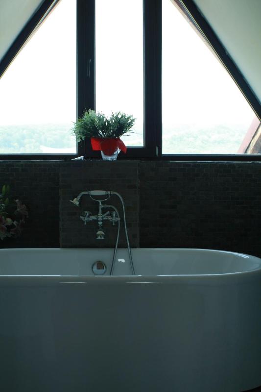 One-Bedroom Suite image 3