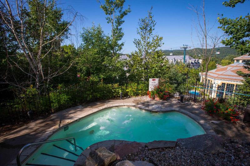 Lodge de la Montagne - image 12