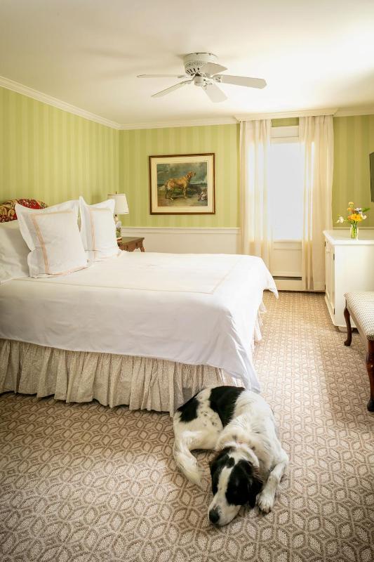 Standard King Room image 2