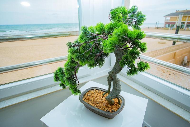 009 Magic Sea View - Alicante Holiday - image 16