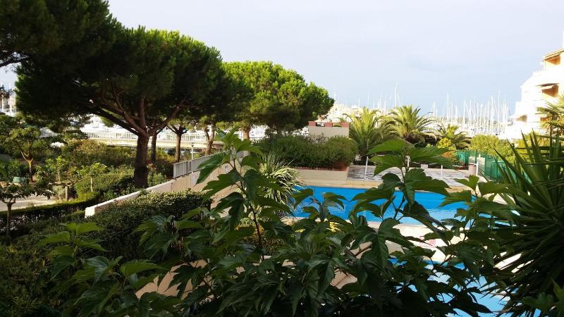 Family Room with Pool View image 2