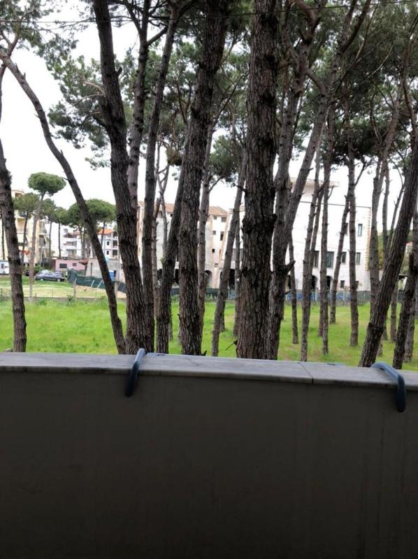 Apartament 8 - image 2