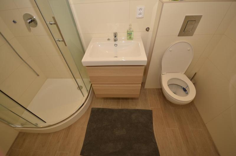 Beautiful Apartments in Prague - image 5