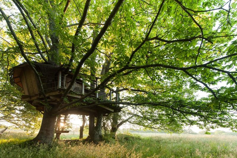 Tree House (5-6m) image 1