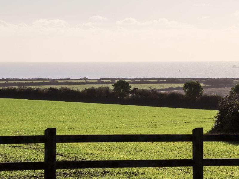 Green Fields - image 8