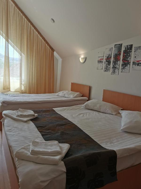 PENSIUNEA HORA - image 16