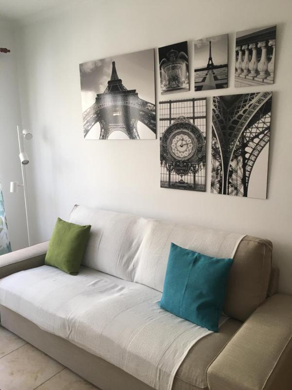 Paris lovely Apartment Images