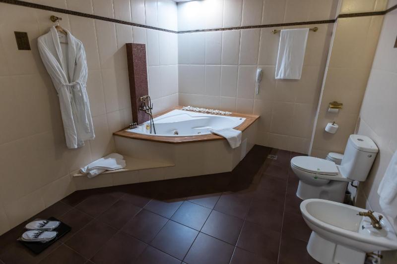 Deluxe Twin Room image 4