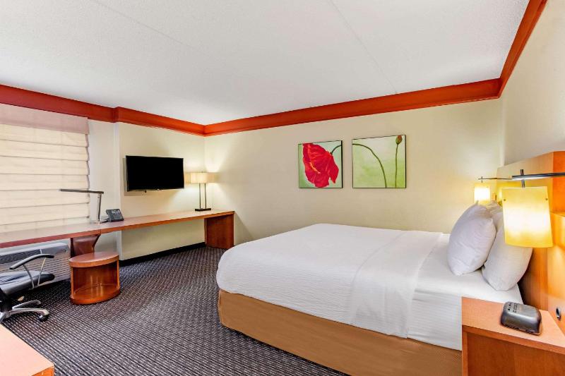 Deluxe King Room - Non-Smoking image 4