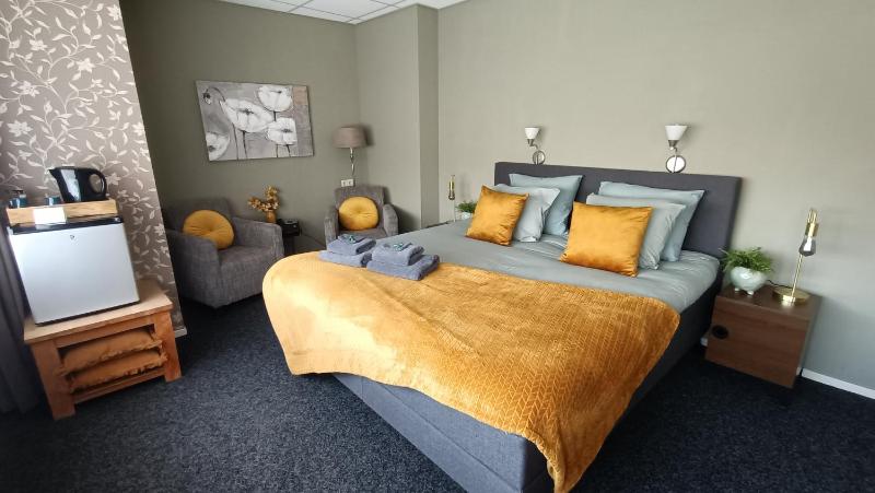 Deluxe Double or Twin Room image 4