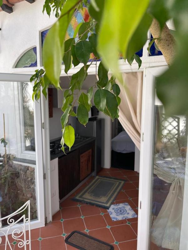 Arabesque - image 10