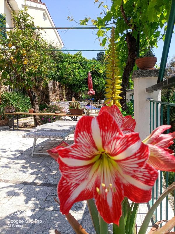 B&B Sopra il Borgo - image 33