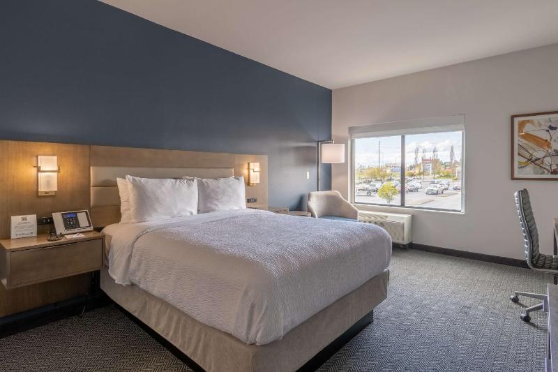 King Room image 4