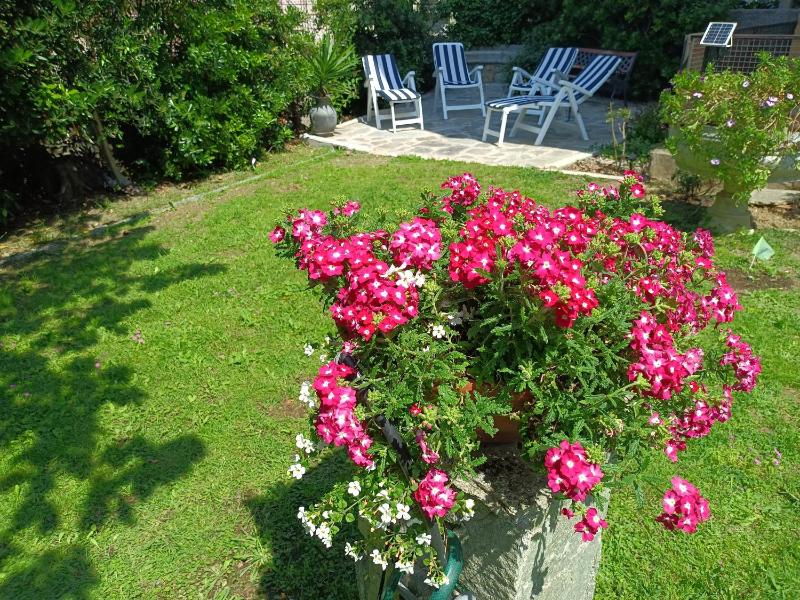 Appartamento con giardino a Boccadasse Images