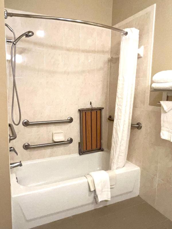 Queen Suite with Sofa Bed - Mobility Accessible/Non-Smoking image 2