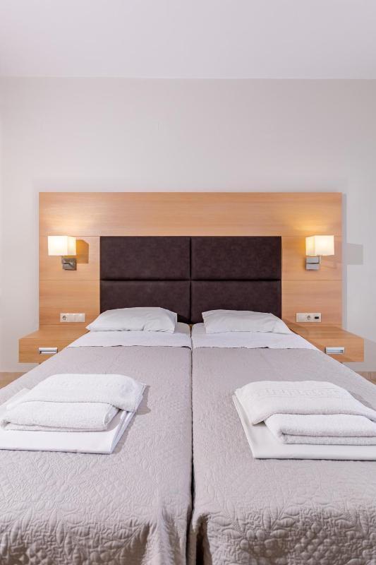 Superior Twin/Double Room image 3