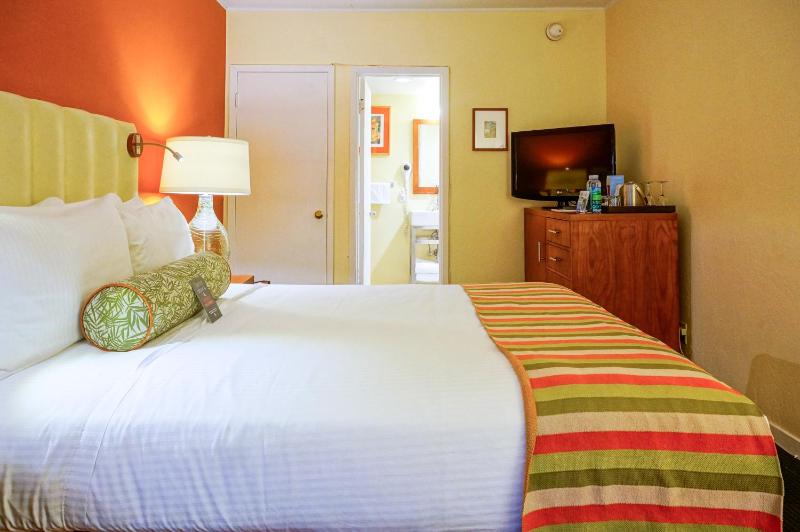 Queen Room - Disability Access image 3