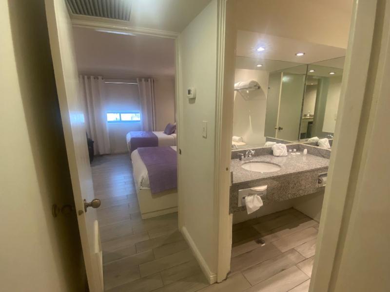 Rose Hotel - image 27