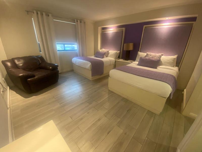Rose Hotel - image 23