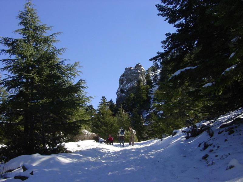 Casa La Palma - image 3