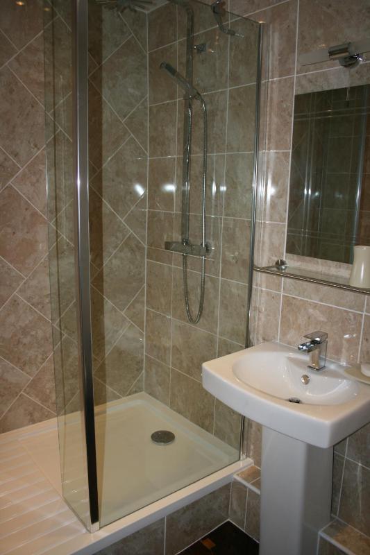 Deluxe Twin Room image 2
