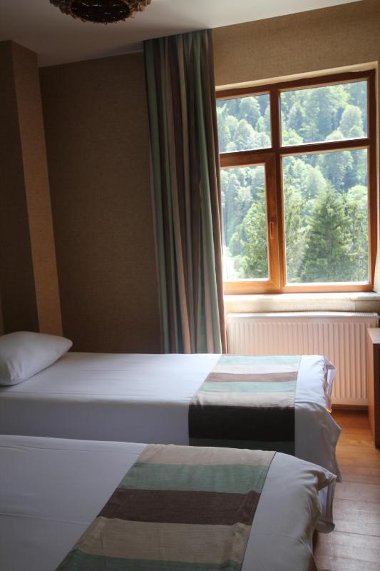 Deluxe Double Room with Mountain View image 3