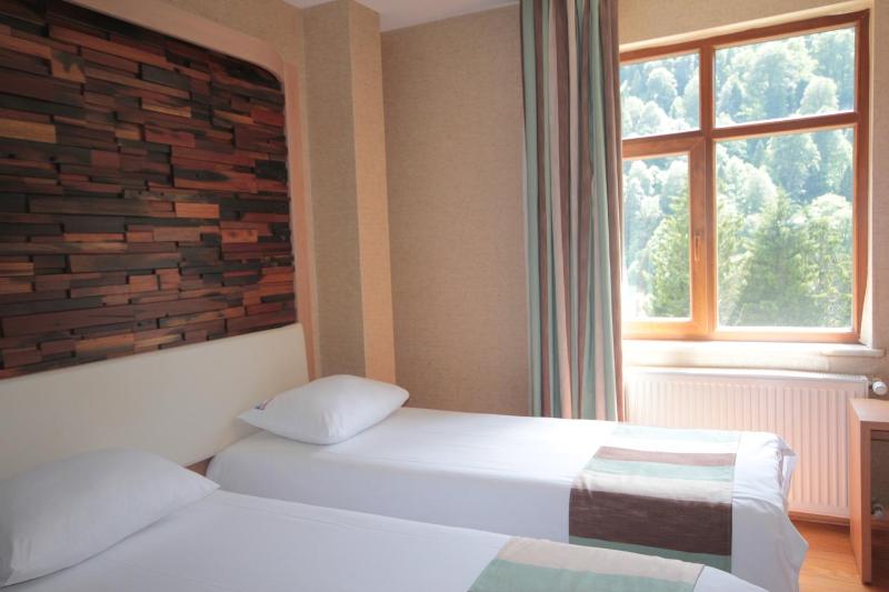 Deluxe Double Room with Mountain View image 4