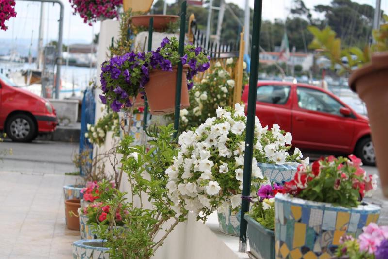 Albergo Locanda Sul Mare - image 10