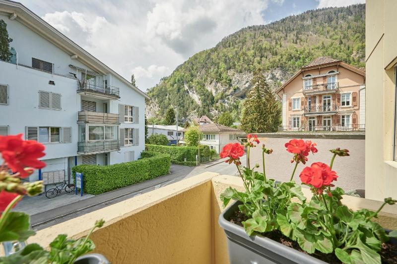 Studio with Mountain View image 3
