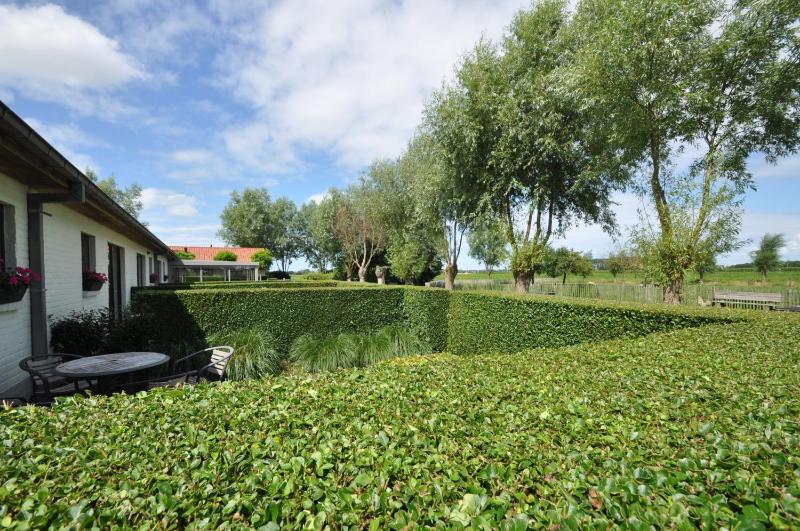 B&B Knotwilgenhoeve - image 13