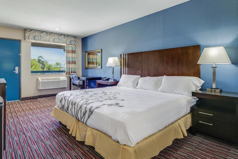King Room - Accessible/Non Smoking image 2