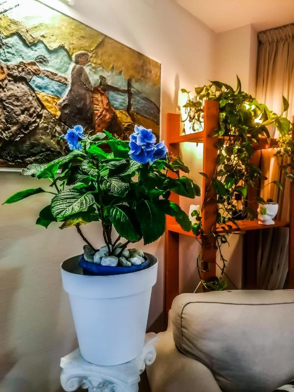 Hotel A Casa Nostra - image 31