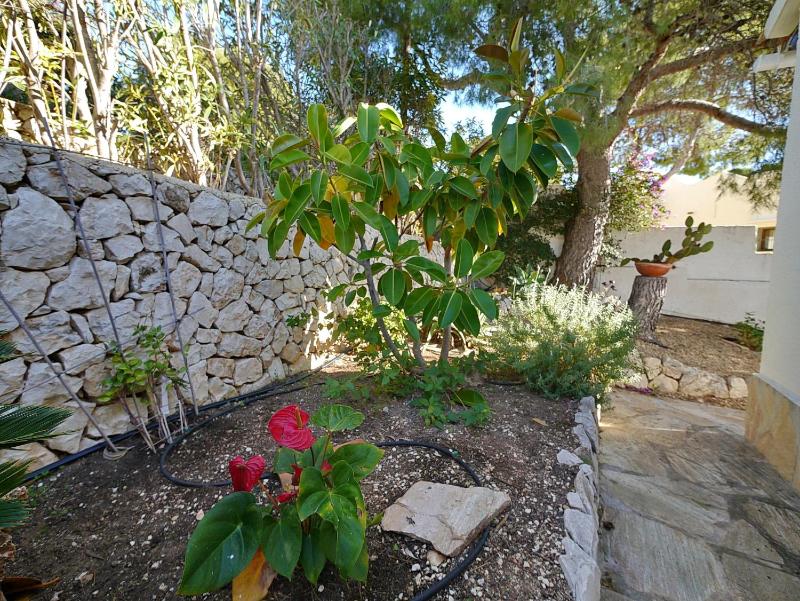 Villa Ana Marie - by Holiday Rentals Villamar - image 31