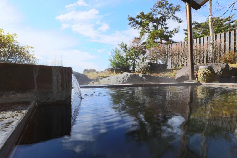 Tateshina Park Hotel - image 36