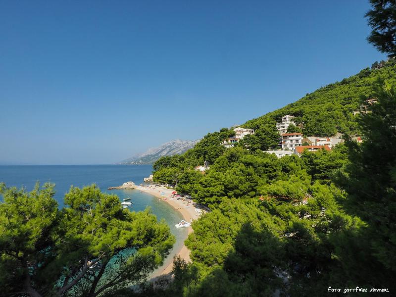 Villa Petra - image 11