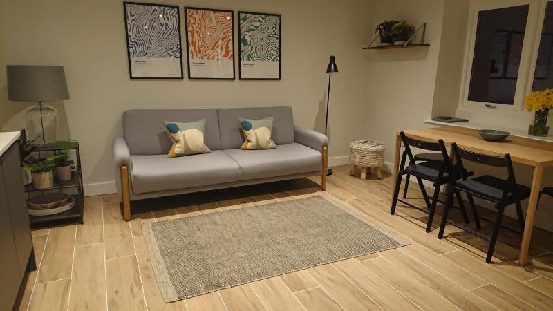 One-Bedroom Superior Apartment image 4