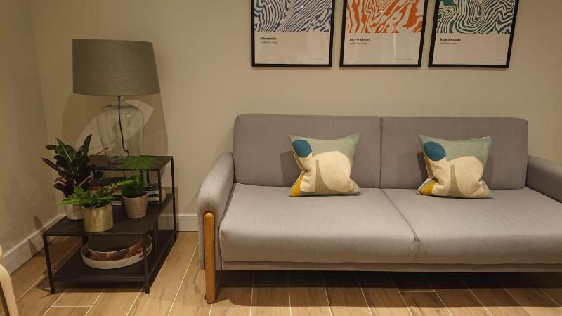 One-Bedroom Superior Apartment image 3