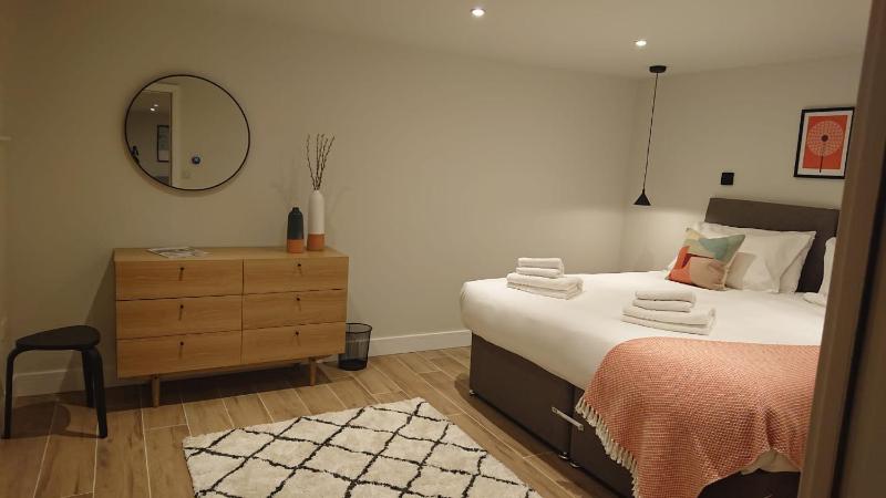 One-Bedroom Superior Apartment image 2