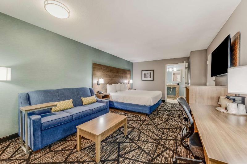 King Room with Roll-In Shower - Mobility Access/Non-Smoking image 3