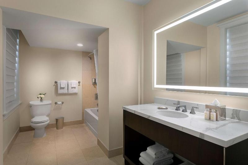 One-Bedroom King Suite image 2
