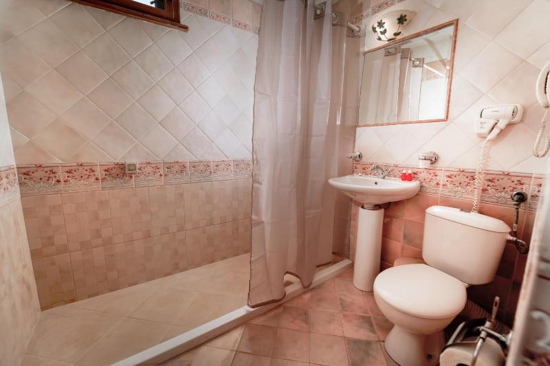 Double or Twin Room image 4