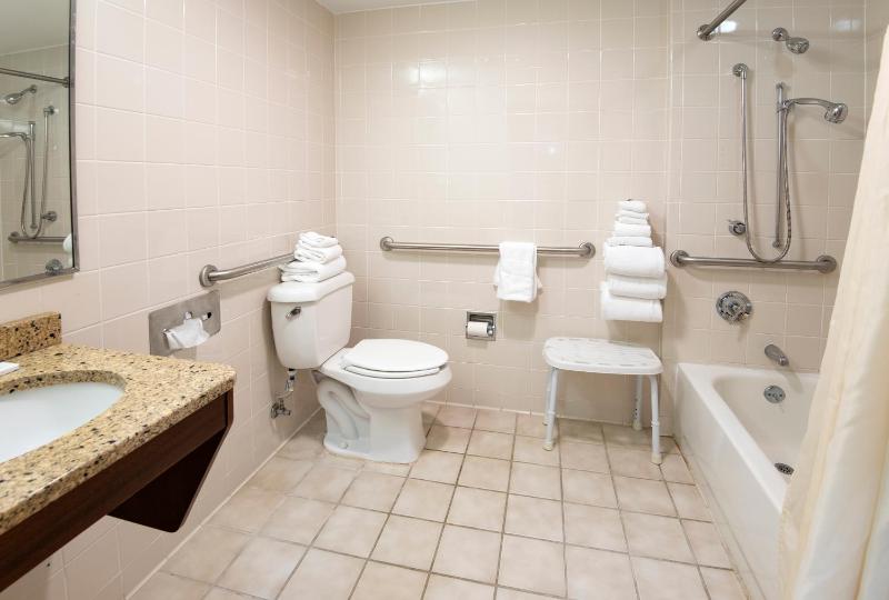 Queen Room - Disability Access image 3