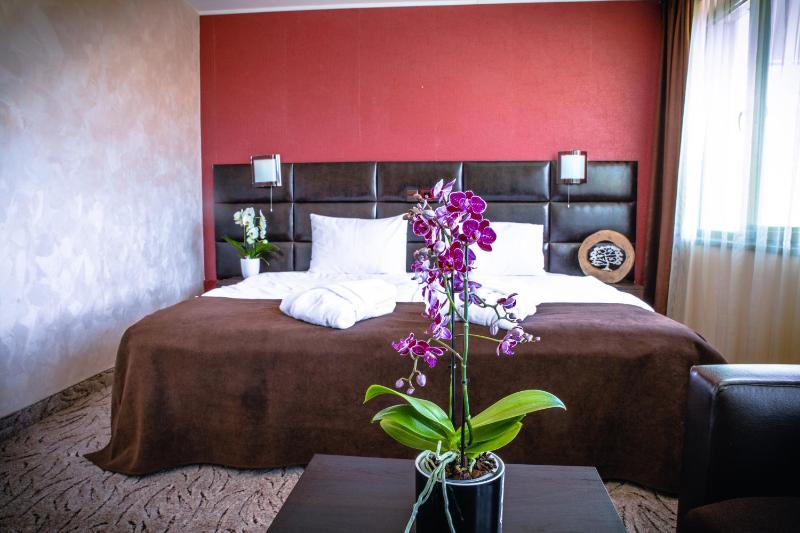 Deluxe Double Room (2 Adults) image 4
